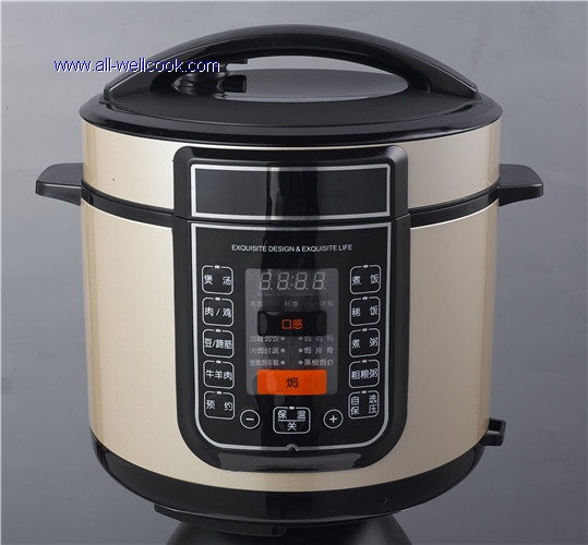 5L Electric pressure cooker AW90D-W