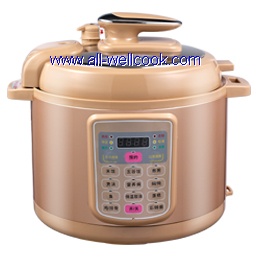 Electric pressure cooker AW90D-G