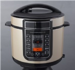 5L Electric pressure cooker AW90D-W