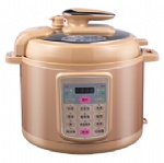 Electric pressure cooker AW90D-G